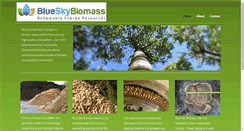 Desktop Screenshot of blueskyga.com